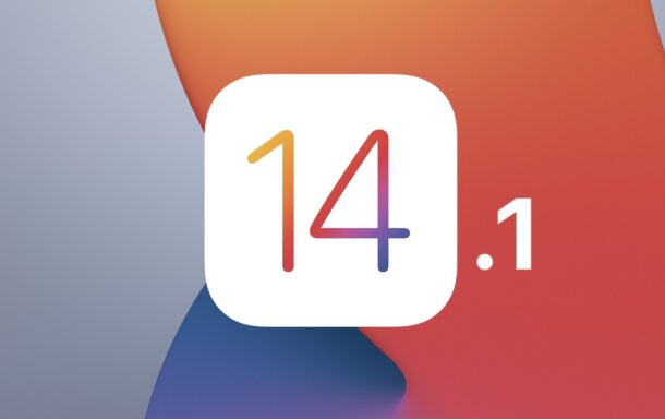 iOS 14.1 and iPadOS 14.1