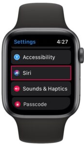 How to Use Announce Messages with Siri on Apple Watch