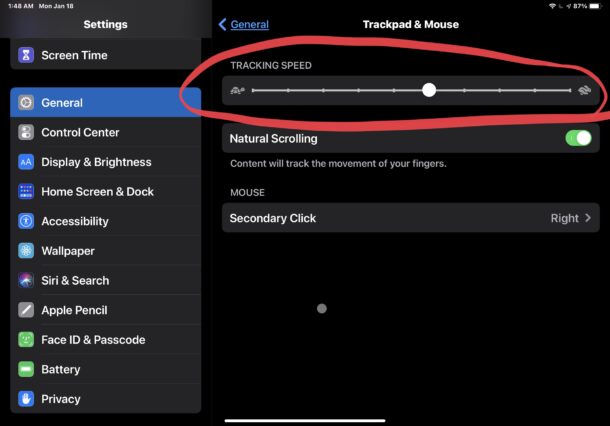 How to change tracking speed of iPad cursor