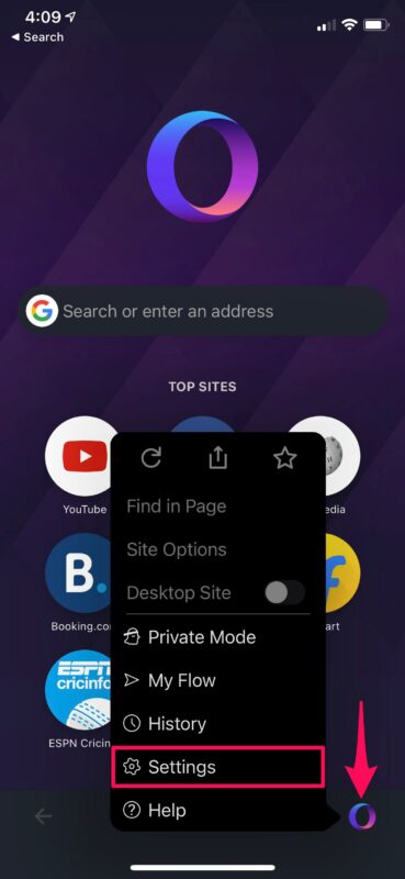 How to Clear Cookies on Firefox, Opera on iPhone & iPad