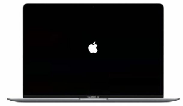 Как загрузить Apple Silicon M1 Mac в режим восстановления