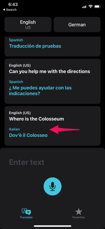 How to Delete Translation History in Apple Translate App