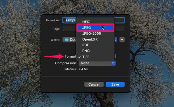 How to Convert WebP Images to JPG on Mac