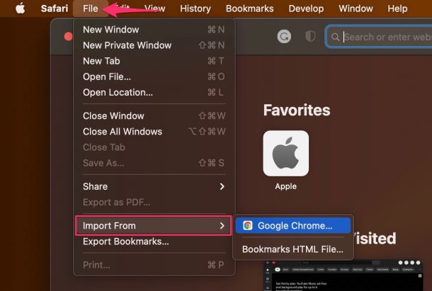 How to Import Passwords to iCloud Keychain