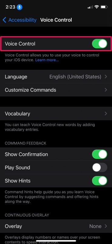 How to Unlock iPhone or iPad With Your Voice