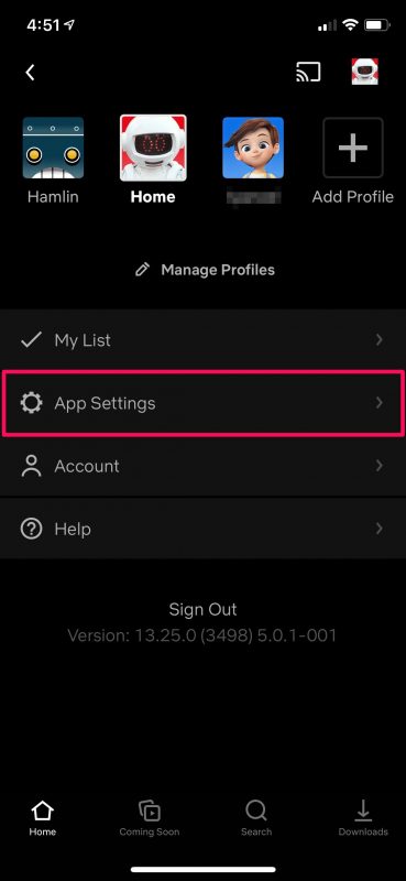 How to Use Low Data Mode in Netflix on iPhone