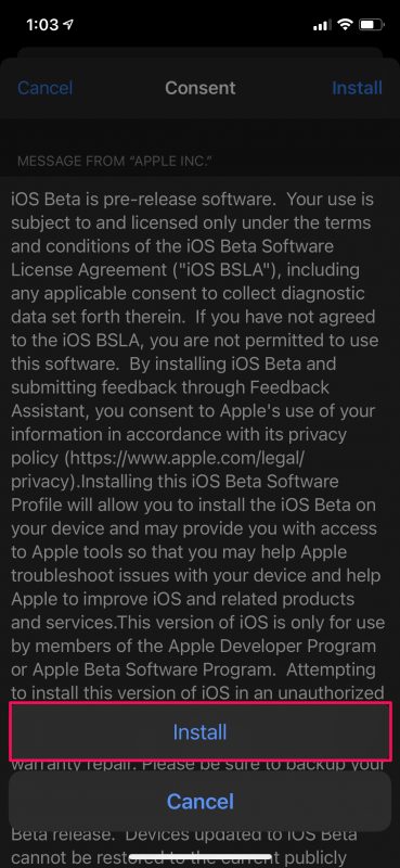 Как установить бета-версию iOS 15 Developer на iPhone