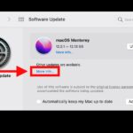 Get macOS updates without installing Monterey