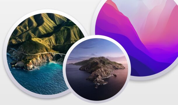 How to install macOS updates without upgrading to MacOS Monterey