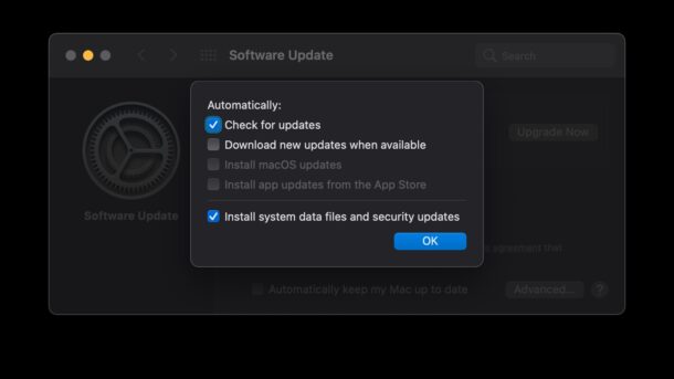 turn off automatic software updates for the macOS system
