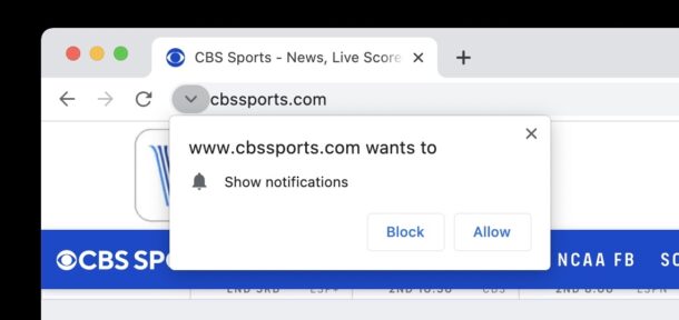 Website pestering to send notifications to Chrome