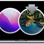 How to downgrade from MacOS Monterey to Big Sur