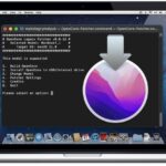 install macOS Monterey on unsupported Mac