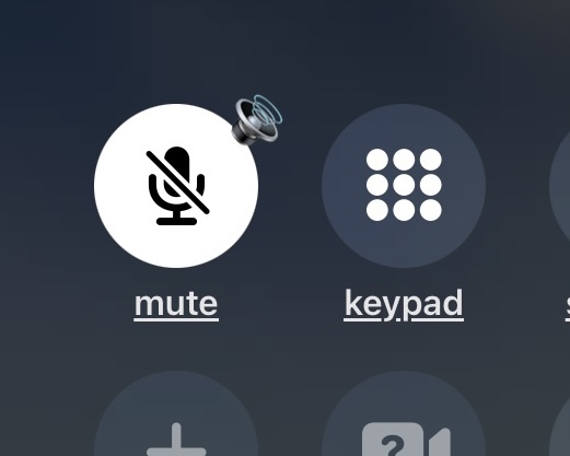 Beep Sound When Pressing Mute on iPhone Call? The iPhone Mute Sound Explained | OSXDaily