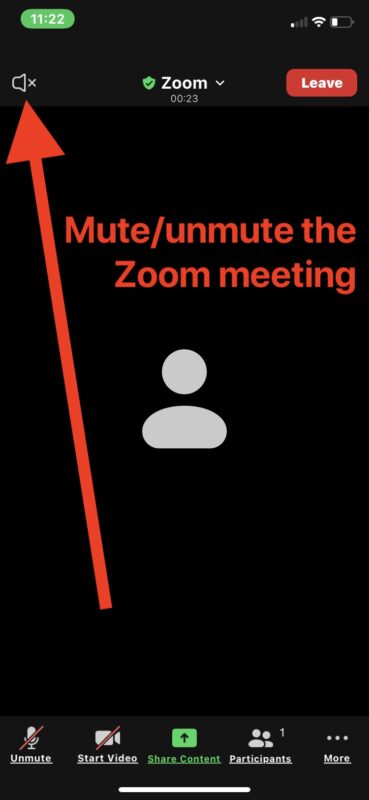 Mute or unmute entire Zoom meeting on iPhone