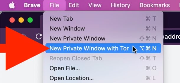 New Private Window with Tor in Brave browser