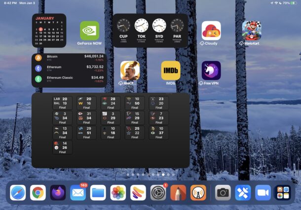 iPad widgets on Home Screen