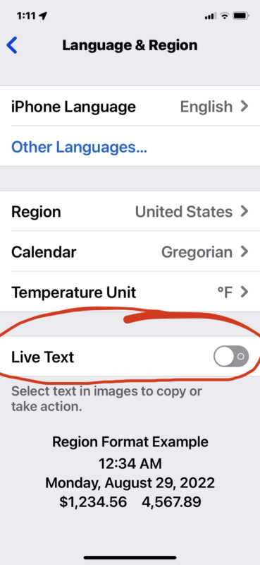 Disable Live Text on iPhone and iPad