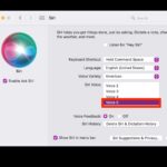 Use the Gender neutral Siri voice on Mac with Voice 5