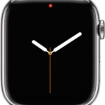 Red Dot on Apple Watch screen