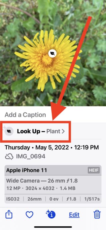 How to identify plants and flowers with iPhone