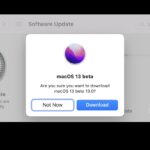 Download MacOS Ventura beta on Mac
