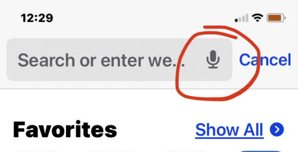 Remove the microphone dictation button from Safari search bar on iPhone or iPad