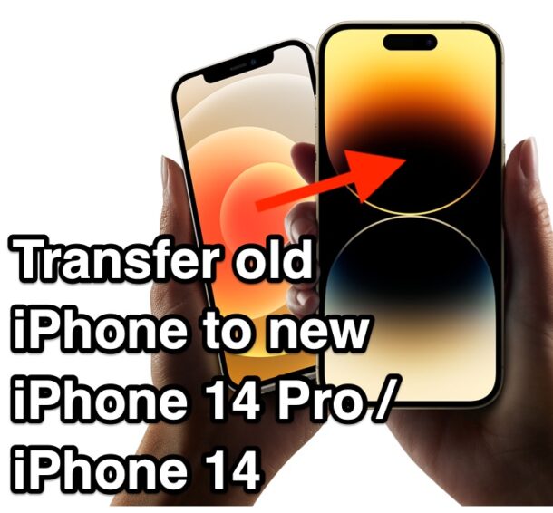 Transfer old iPhone to new iPhone 14 Pro