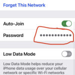 See wi-fi password on iPhone or iPad