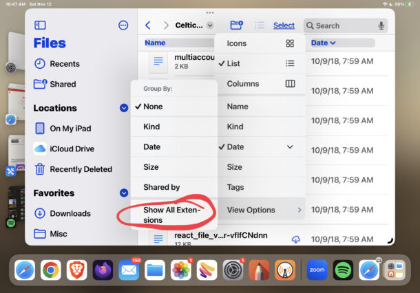 How to always show file extensions on iPad and iPhone in Files app