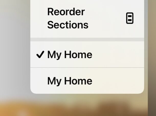 Hy Home in Home app can be renamed to avoid confusion of multiple Homes