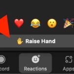 How to raise hand in Zoom on Mac or Windows