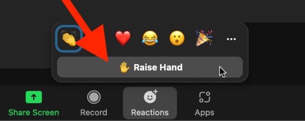 Как поднять руку в Zoom на Mac или Windows