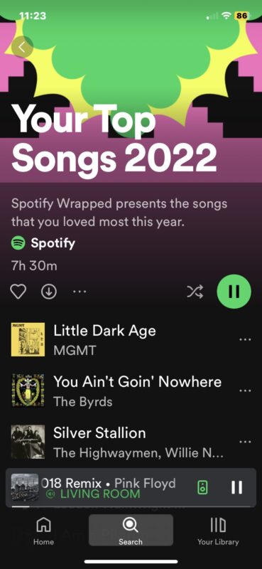 Spotify Wrapped 2022 playlist