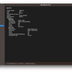 System Information on MacOS shows a system report