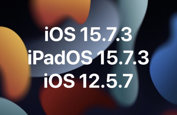 iOS 15.7.3, iPadOS 15.7.3, iOS 12.5.7