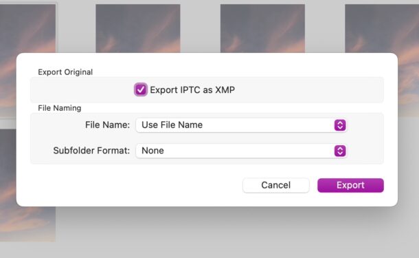 Export IPTC as XMP in Mac Photos app
