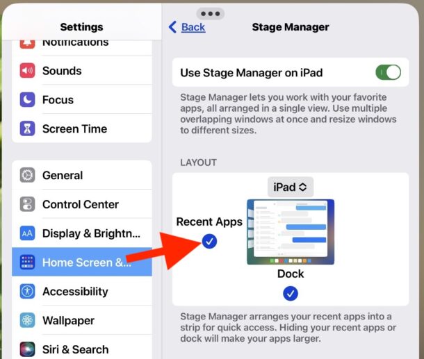 Hide recent apps from Stage Manager on iPad