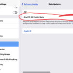 Opt into iOS or iPadOS beta updates