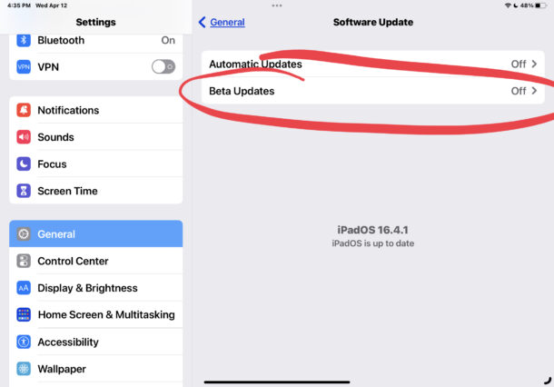 How to change beta update settings on iOS and iPadOS