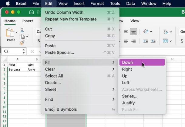 How to fill down in Excel from the menu items