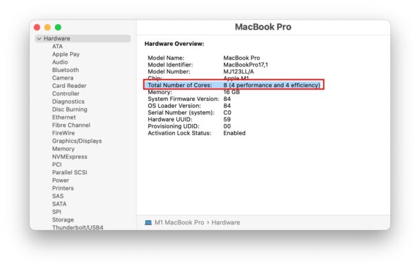 Find CPU core count on Mac with System Information