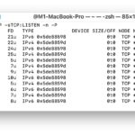 What listens on TCP ports on Mac