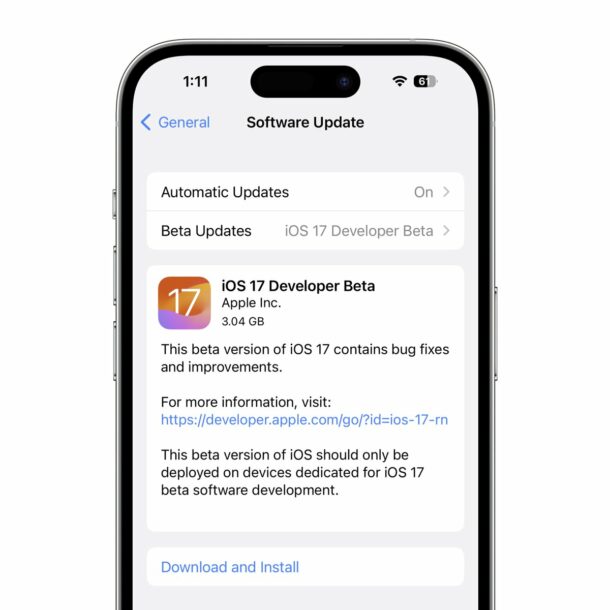 iOS 17 Beta updates on iPhone and iPad