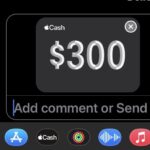 Send money with Apple Cash from Messages