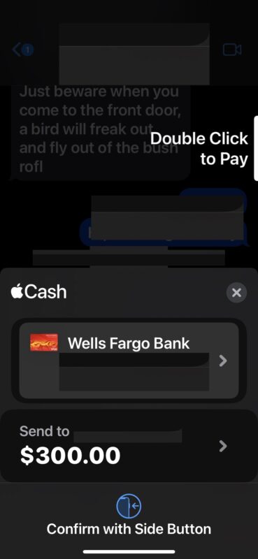 How to send money with Apple Cash from Messages on iPhone