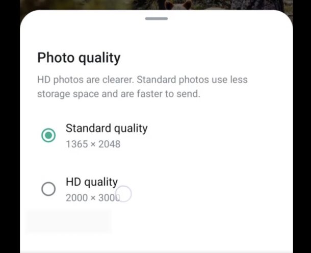 Send HD high resolution quality photos on WhatsApp