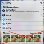 Stop Photos from showing up in Spotlight search results on iPhone and iPad
