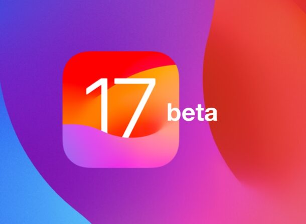 iOS 17.1 beta and iPadOS 17.1 beta 