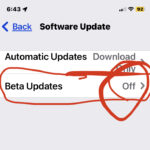 How to remove the iOS 17 beta